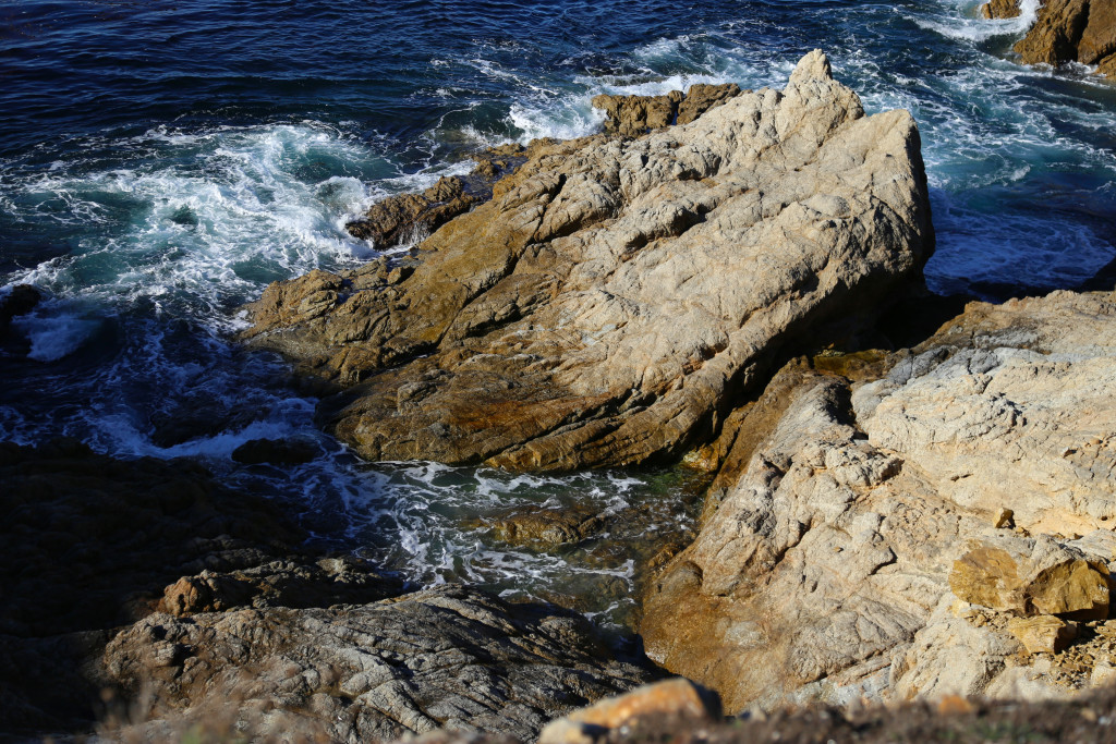 poin-lobos-big-sur-californie