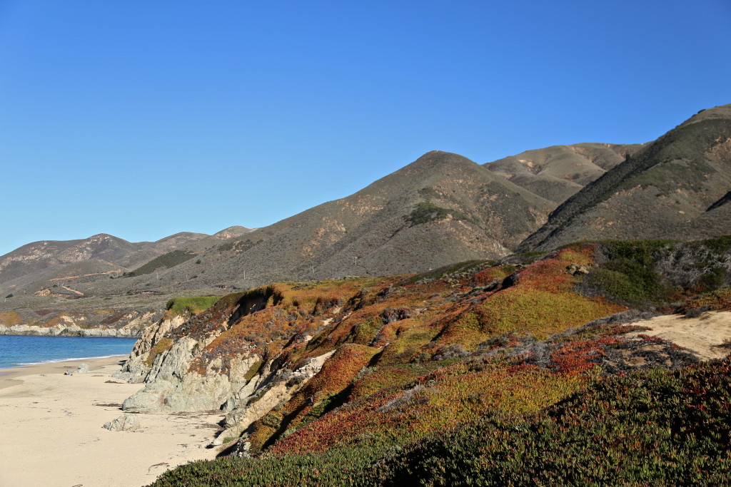 big-sur-coast-californie
