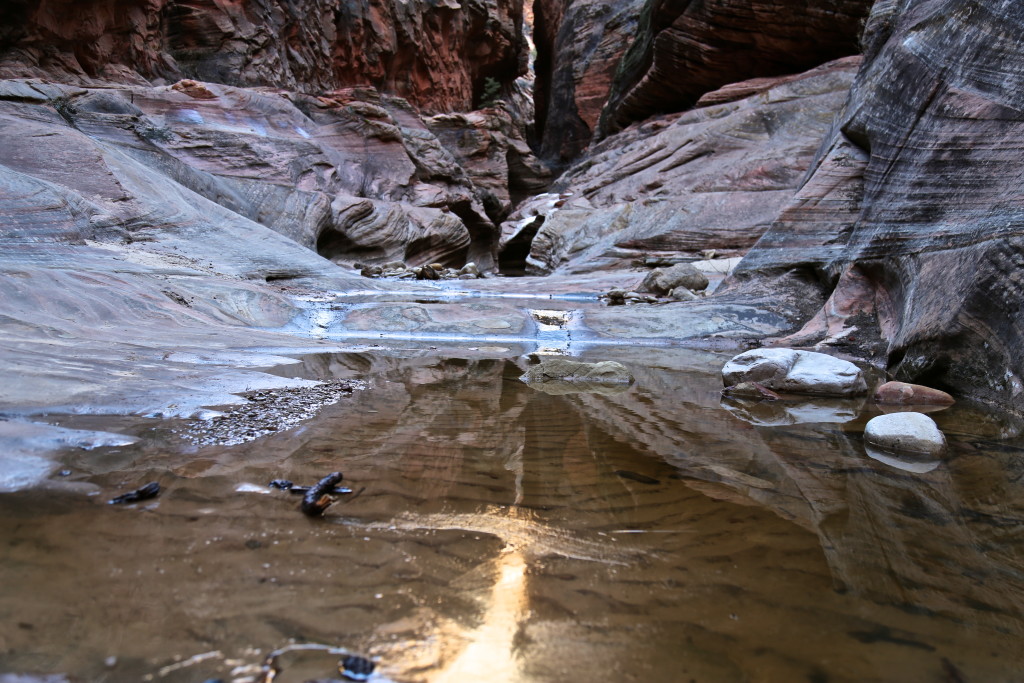 zion-national-park-observation-point-utah