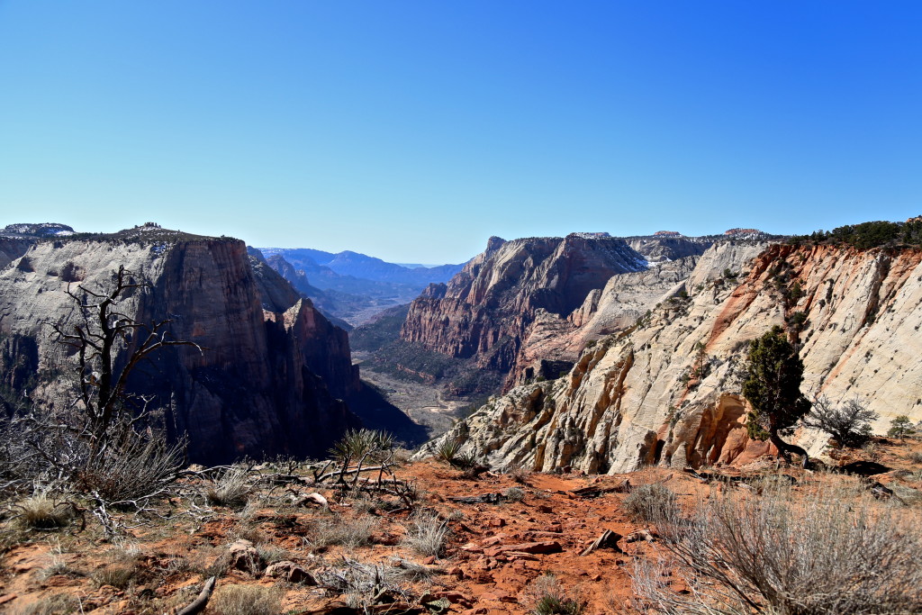 zion-national-park-observation-point-utah