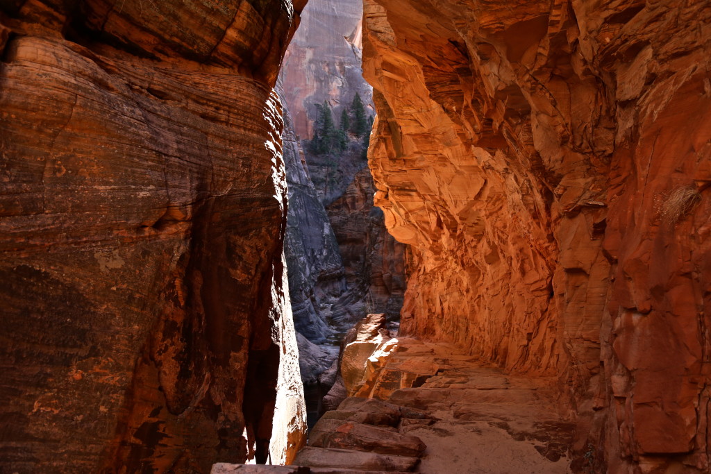 zion-national-park-utah