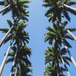 Magic can happen for real in Rio  Hello leshellip