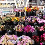 Flower Power for my sundaymorning   Finir la semainehellip