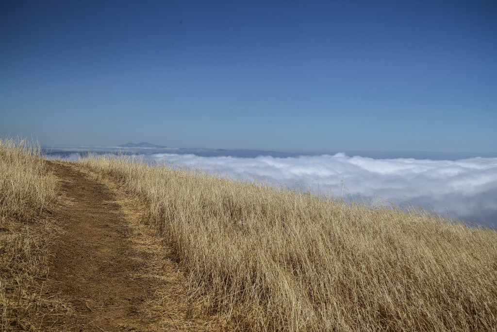 mont-tamalpais-san-francisco-state-park