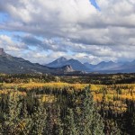 Fall is coming les arbres ont dj revtus leurhellip Fall is coming les arbres ont dj revtus leurhellip