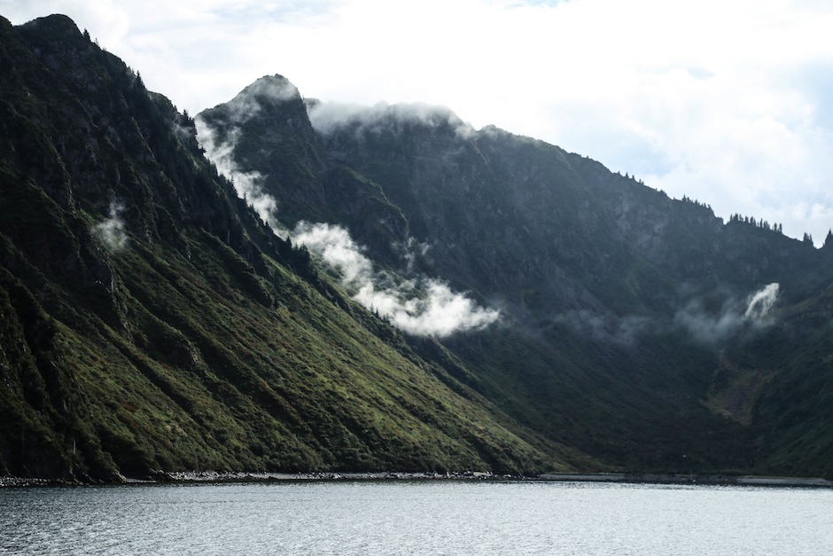 Alaska #1 : La péninsule de Kenai