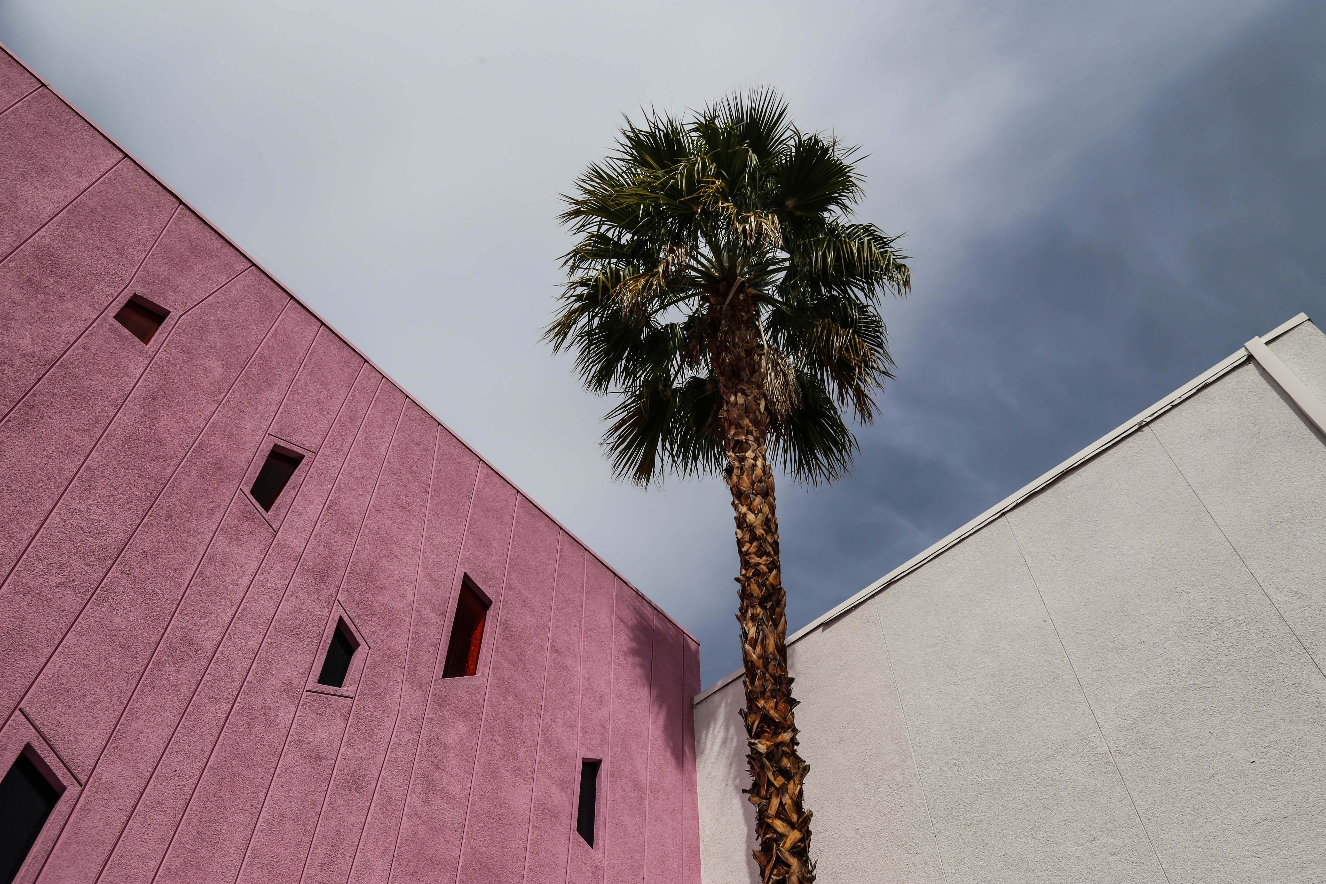 Palm Springs : Vous reprendrez bien une petite Maragarita ?